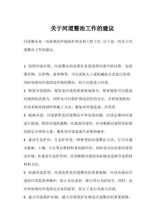 关于河道整治工作的建议