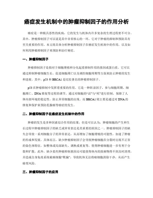 癌症发生机制中的肿瘤抑制因子的作用分析