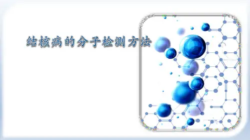 结核病的分子检测