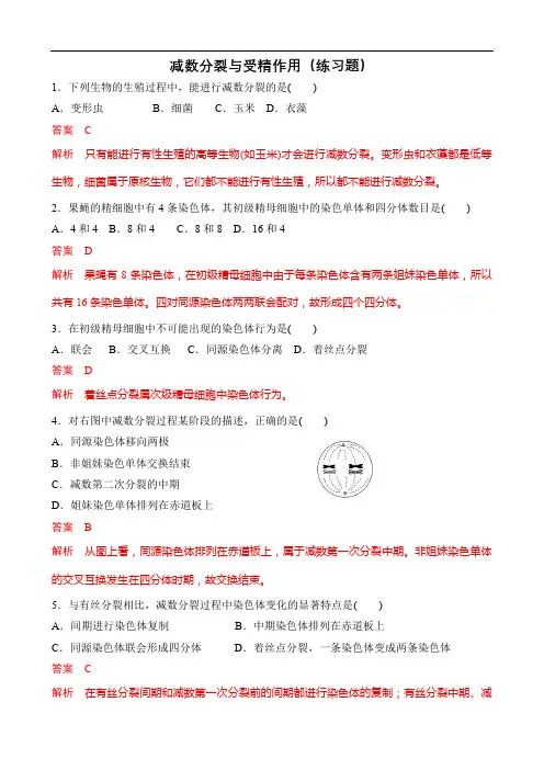 减数分裂与受精作用(练习题)——解析版