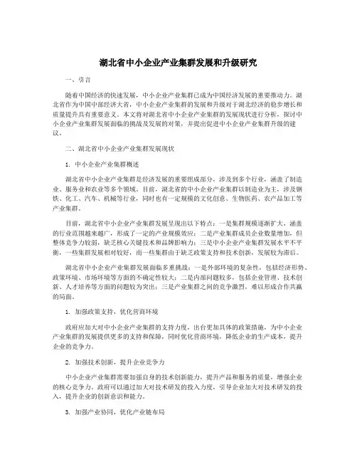 湖北省中小企业产业集群发展和升级研究