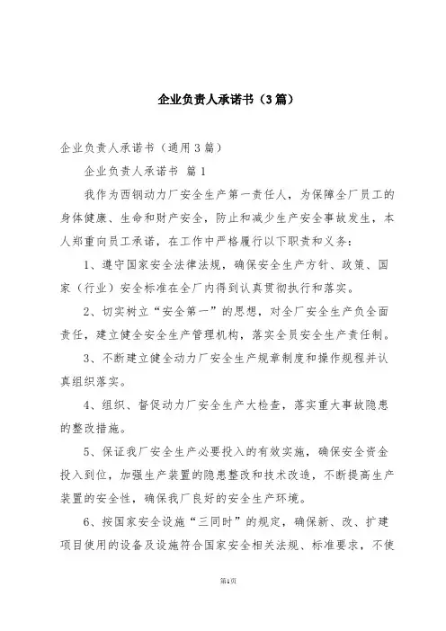 企业负责人承诺书(3篇)