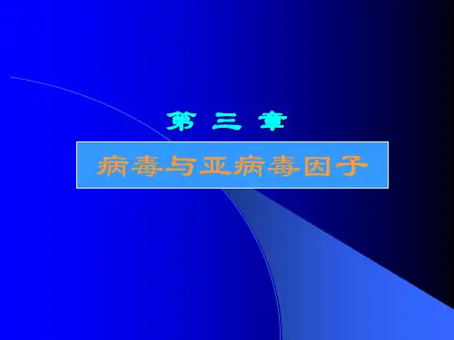 第03章病毒与亚病毒因子ppt课件