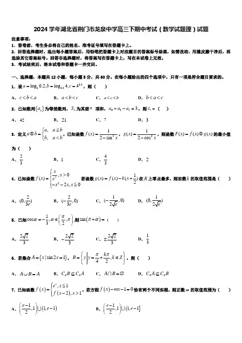 2024学年湖北省荆门市龙泉中学高三下期中考试(数学试题理)试题