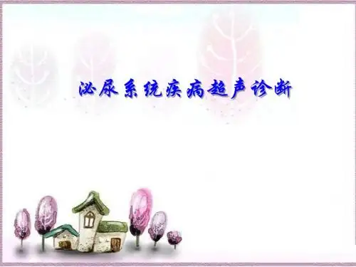 超声诊断学：泌尿系统疾病超声诊断