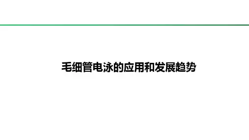 12.5毛细管电泳应用及进展趋势