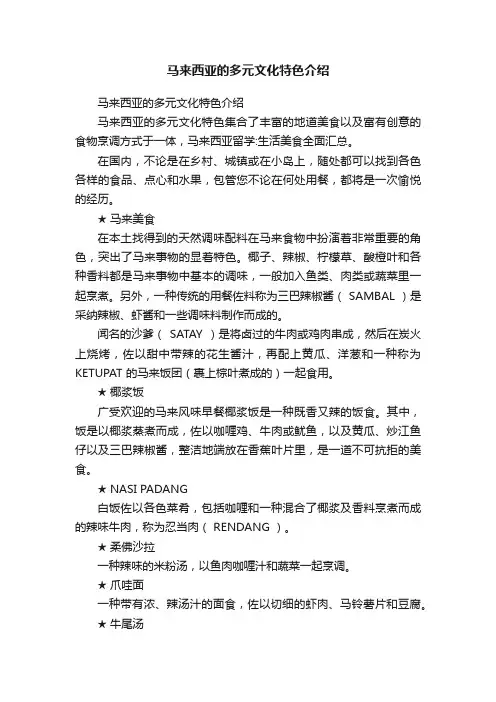 马来西亚的多元文化特色介绍