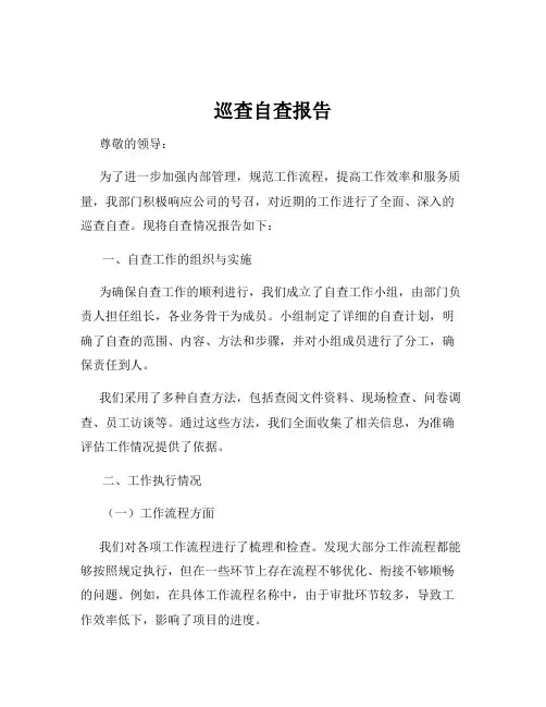 巡查自查报告