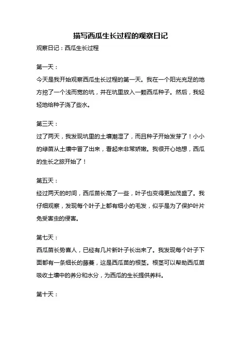 描写西瓜生长过程的观察日记
