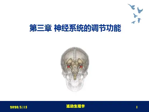 运动生理学课件第三章神经系统的调节功能