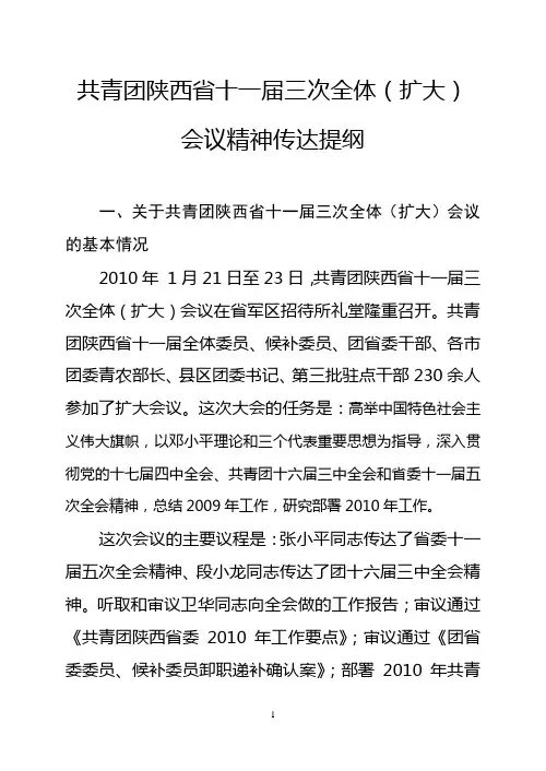 共青团陕西省十一届三次全体传达提纲