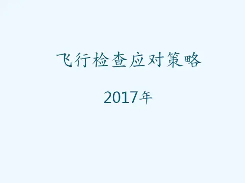 飞行检查应对策略 ppt课件
