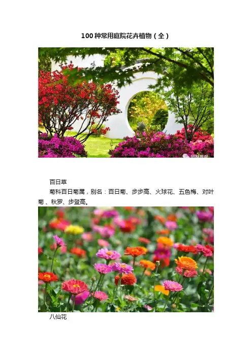 100种常用庭院花卉植物（全）