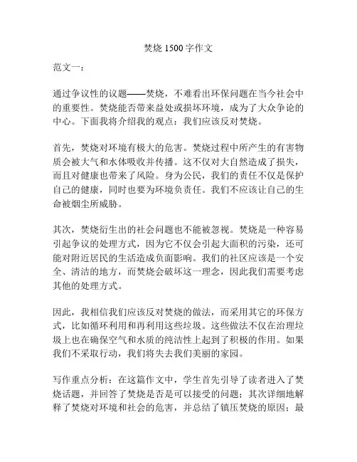 焚烧1500字作文