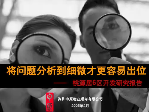 中原-深圳桃源居6区开发研究报告-67PPT