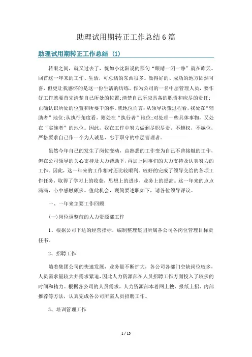 助理试用期转正工作总结6篇