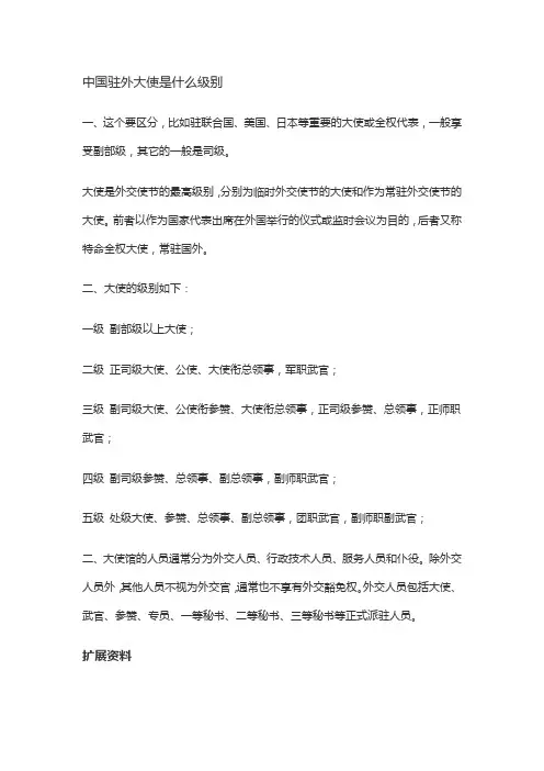中国驻外大使是什么级别