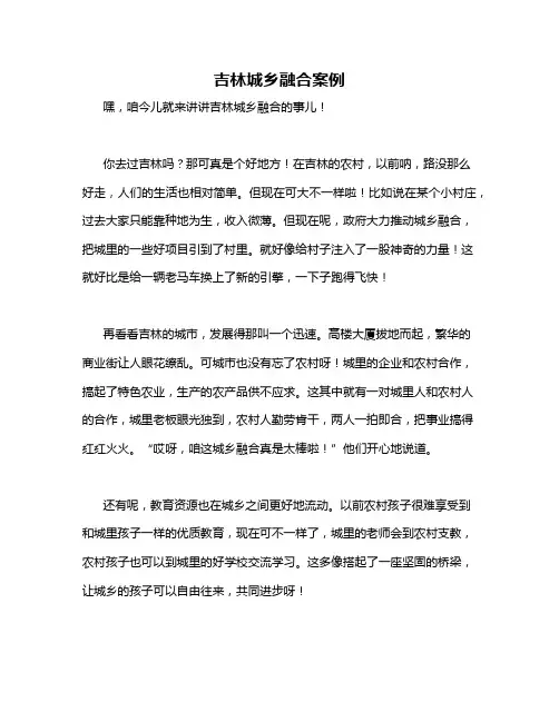吉林城乡融合案例