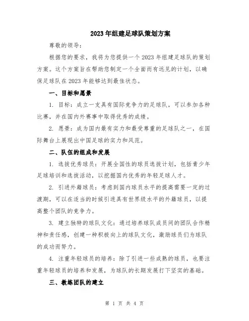 2023年组建足球队策划方案