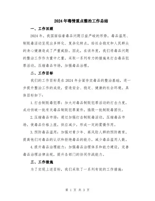2024年毒情重点整治工作总结