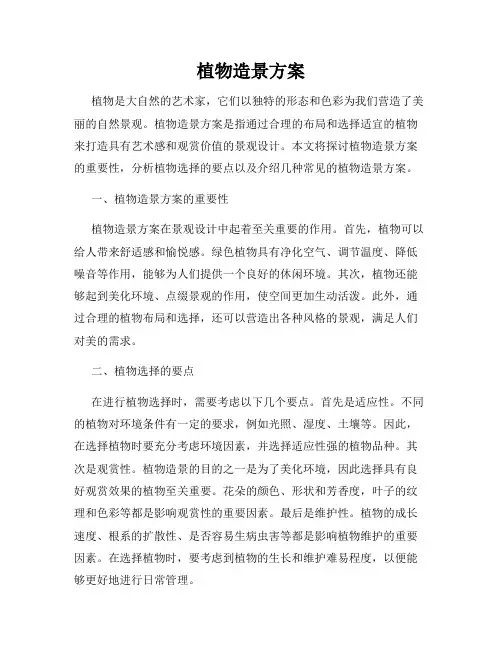 植物造景方案