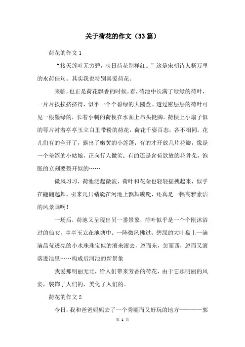 关于荷花的作文(33篇)