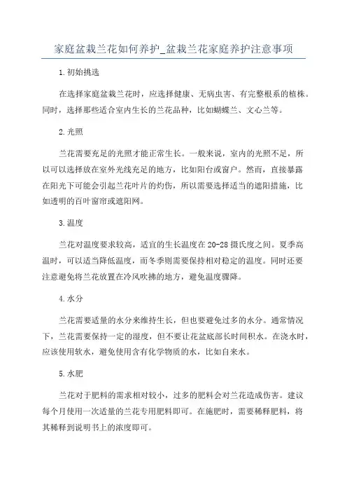 家庭盆栽兰花如何养护_盆栽兰花家庭养护注意事项