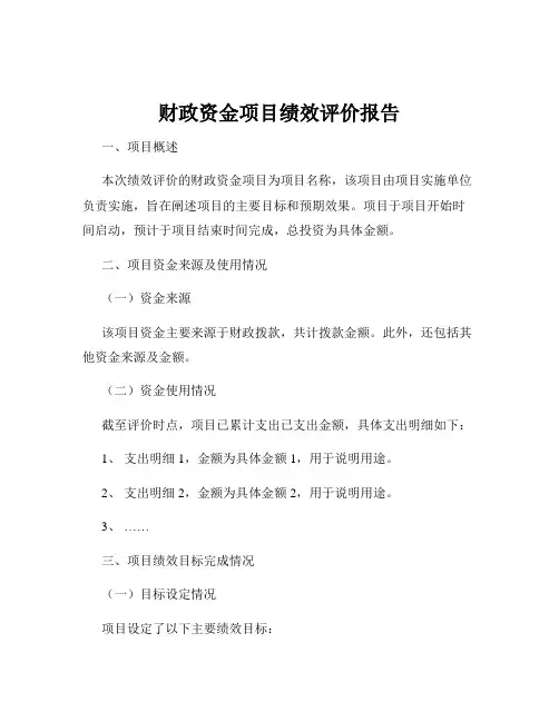 财政资金项目绩效评价报告