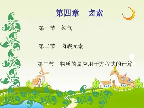 上科版高一化学第四章《卤素》1PPT课件