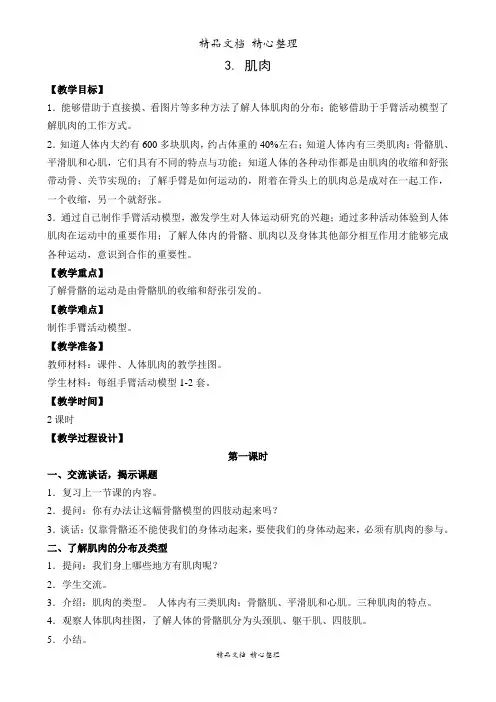 (新教材)苏教版四年级下册科学 1.3 肌肉 教案(教学设计)