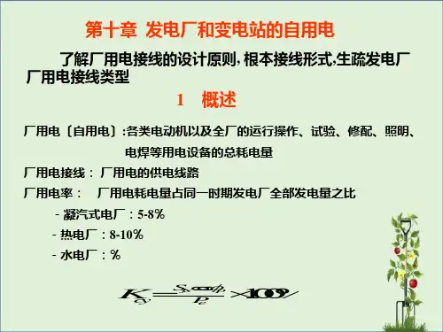 201110第十章-发电厂和变电站的自用电解析