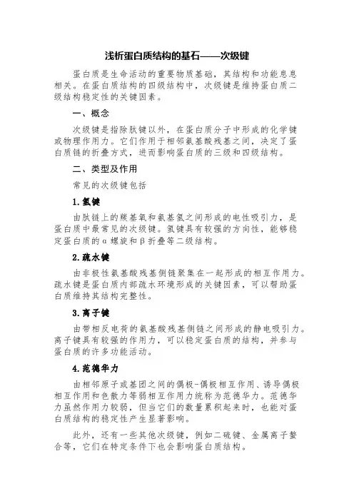 蛋白质次级键