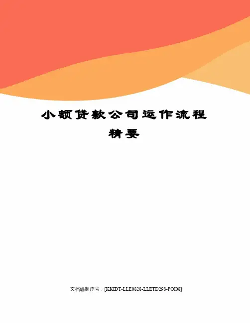小额贷款公司运作流程精要