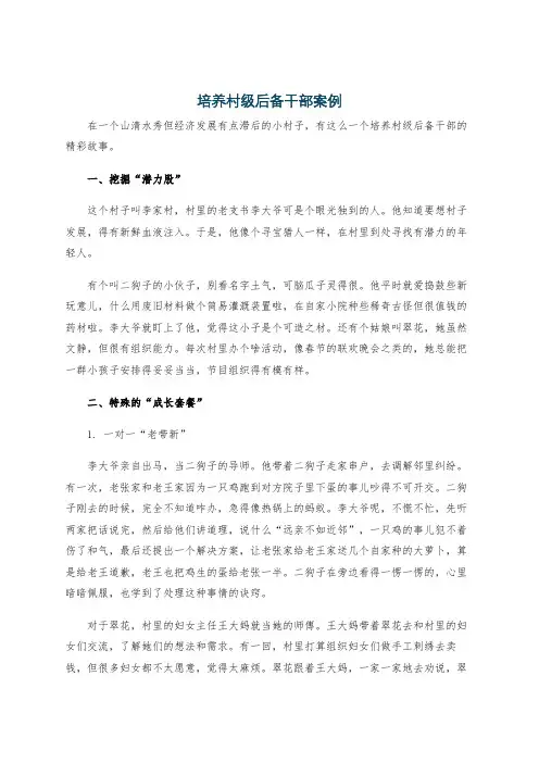 培养村级后备干部案例