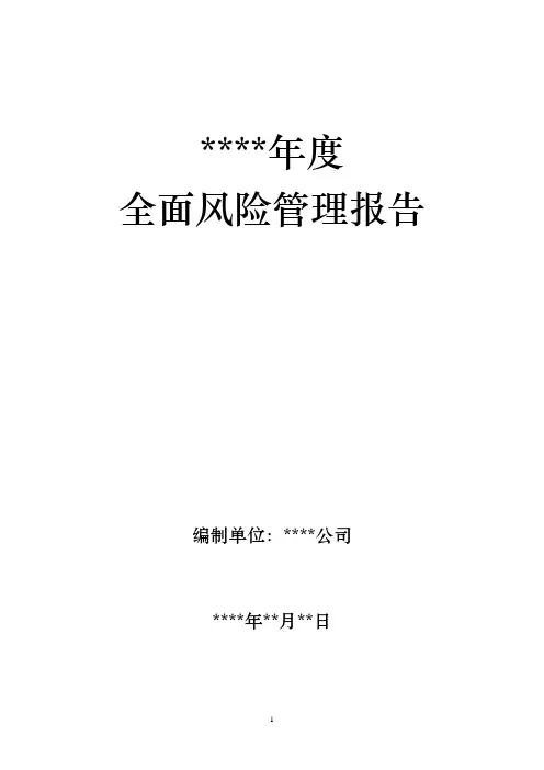 企业年度全面风险管理报告模板