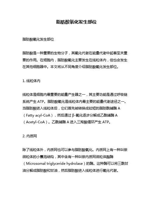 脂肪酸氧化发生部位