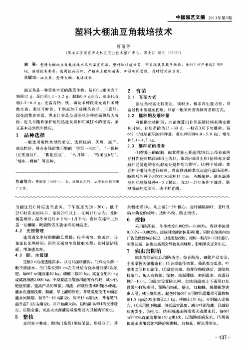 塑料大棚油豆角栽培技术