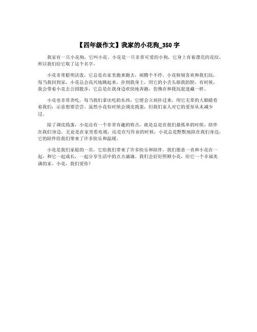 【四年级作文】我家的小花狗_350字