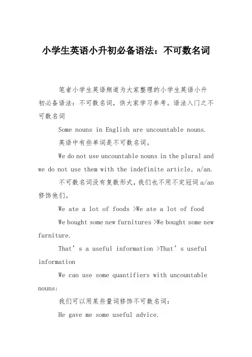小学生英语小升初必备语法：不可数名词