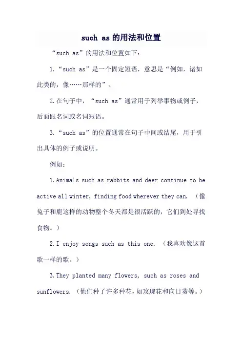 such as的用法和位置