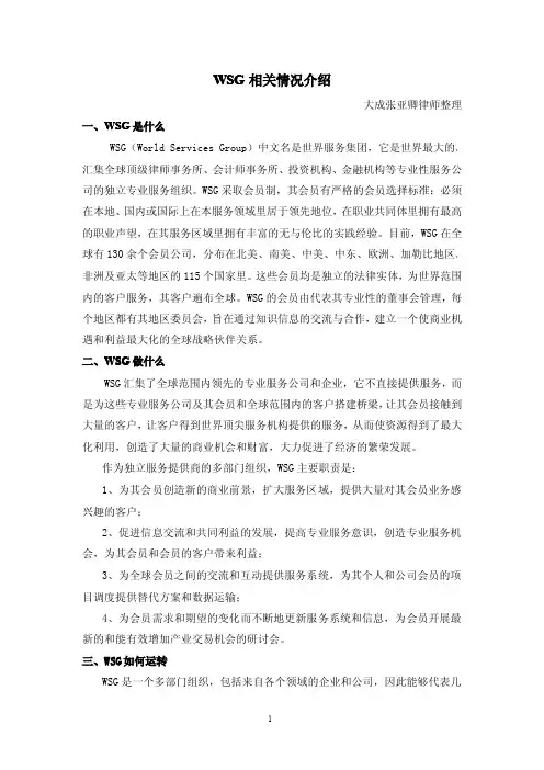 wsg相关情况介绍