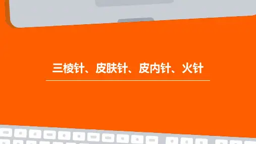 三棱针、皮肤针、皮内针、火针