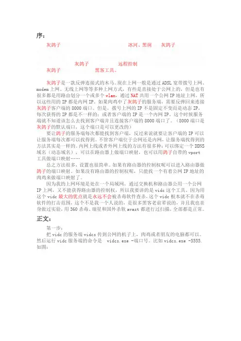 灰鸽子内网上线教程