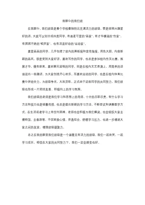 我眼中的我们班500字作文