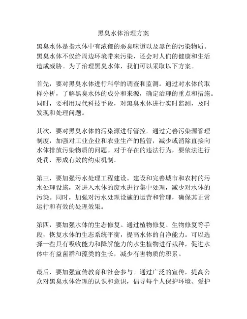 黑臭水体治理方案
