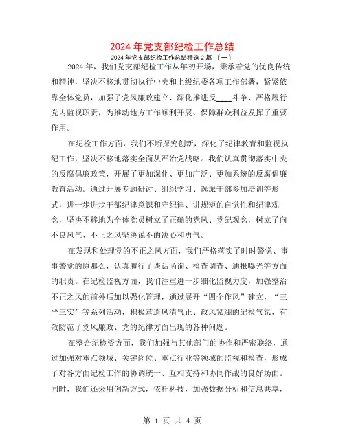 2024年党支部纪检工作总结2篇