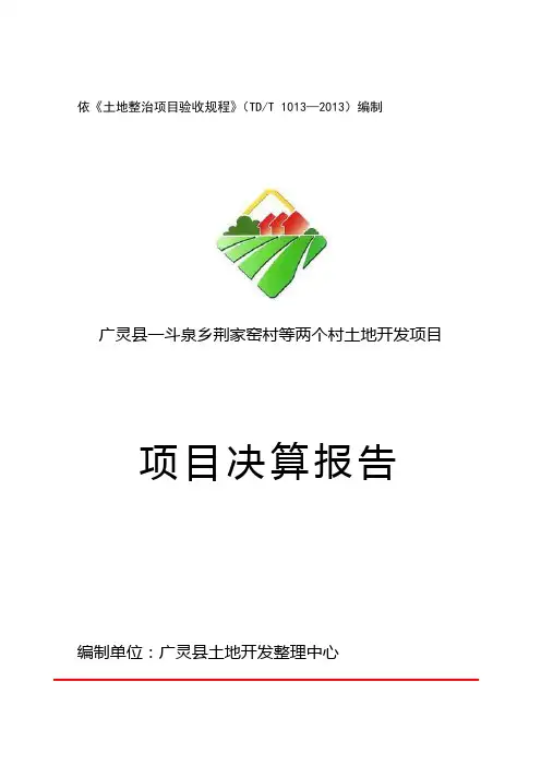 项目决算报告