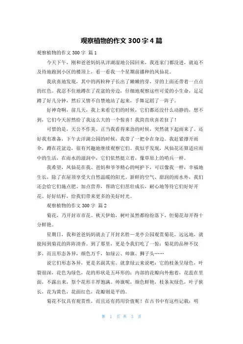 观察植物的作文300字4篇