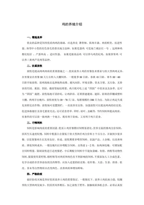 鸡的养殖介绍