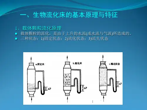 十一讲好氧生物膜法生物流化床技术
